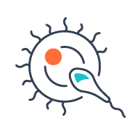 установление родства.png