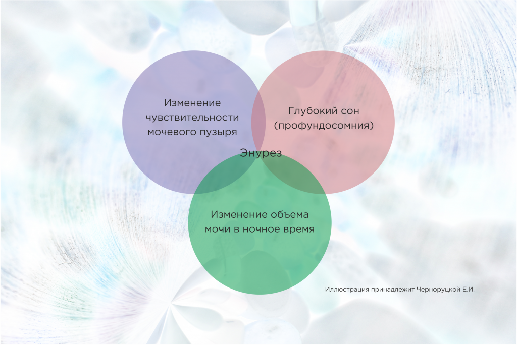 энурез.png